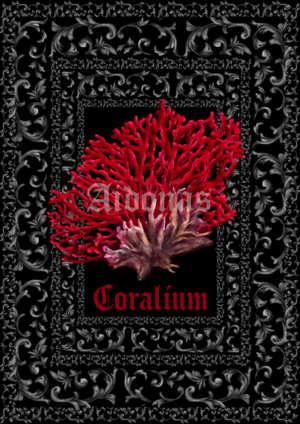 Conchilia
