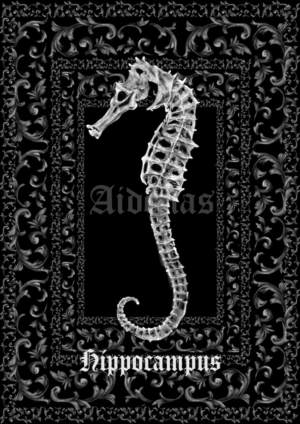 Hippocampus