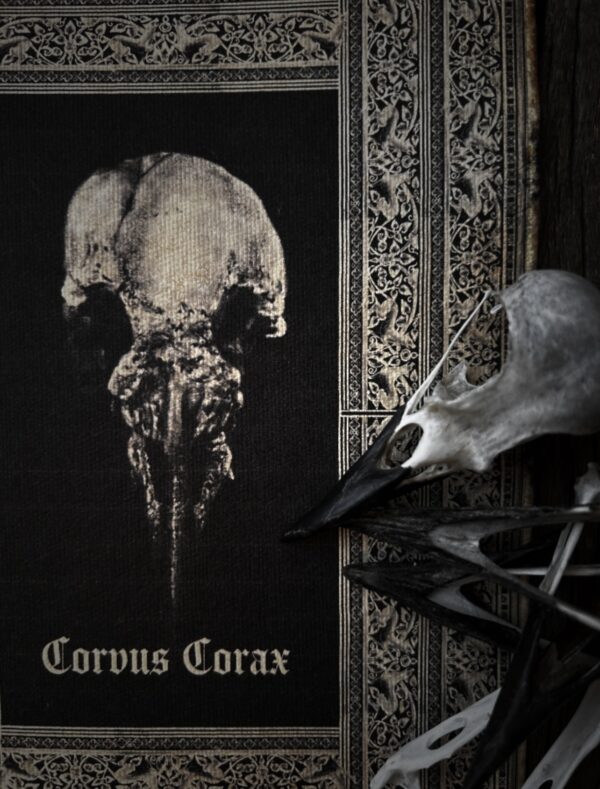 Corvus Corax – Image 4