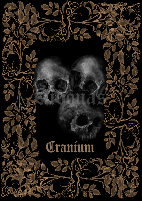 Cranium