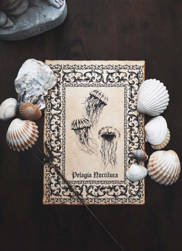 Illustration "Pelagia" Imprimée
