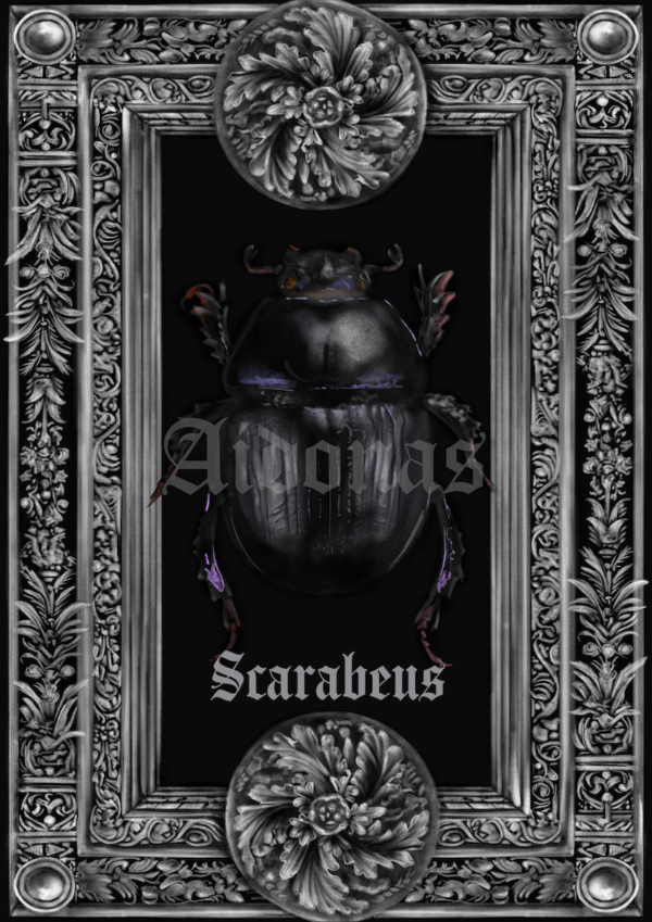 Scarabeus